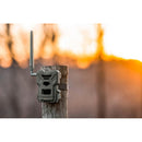 2022 Spypoint FLEX Multi-Carrier Cellular Trail Camera - 1080p Video Resolution, 33MP Photo Transmission, 100ft Detection Range