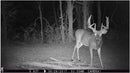 Browning Trail Camera - Strike Force Max HD - Middletown Outdoors