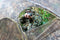 Cooper Hunting 2020 Big Tom Ground Blind with 3D Leafy Mossy Oak/NWTF Obsession Pattern Designed for Still Hunting or Run and Stalk