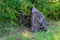 Cooper Hunting 2020 Big Tom Ground Blind with 3D Leafy Mossy Oak/NWTF Obsession Pattern Designed for Still Hunting or Run and Stalk