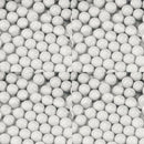 2700 Count .20G / .25G 6mm BB Airsoft Ammo, Elite Force Premium Airsoft Rounds - Middletown Outdoors
